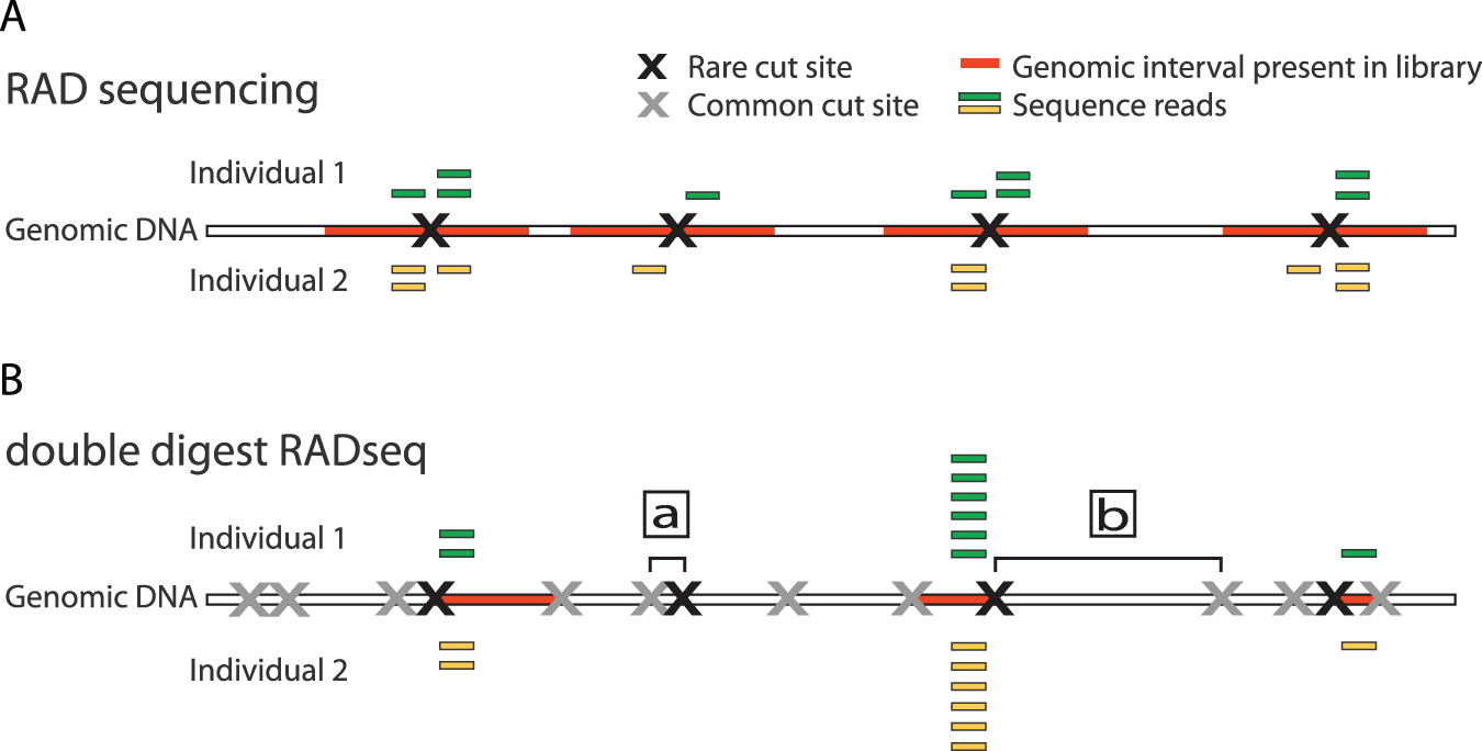 genomics project figure1