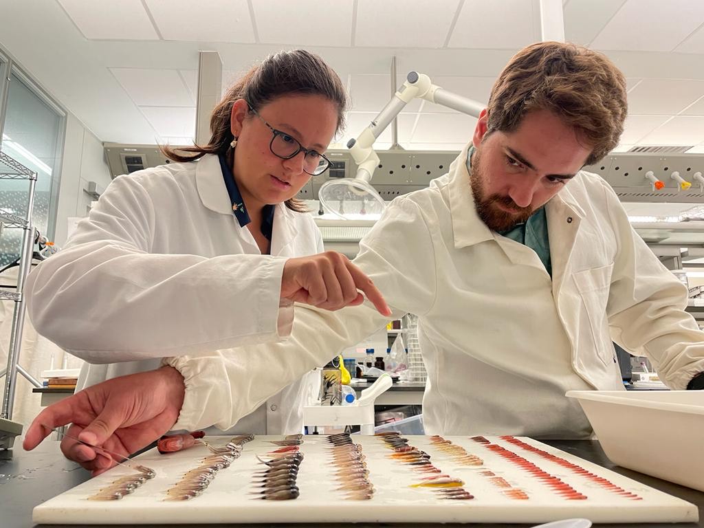 Reef_Ecology_Lab_cryptobenthic_reef_fish_Viktor_Lucia