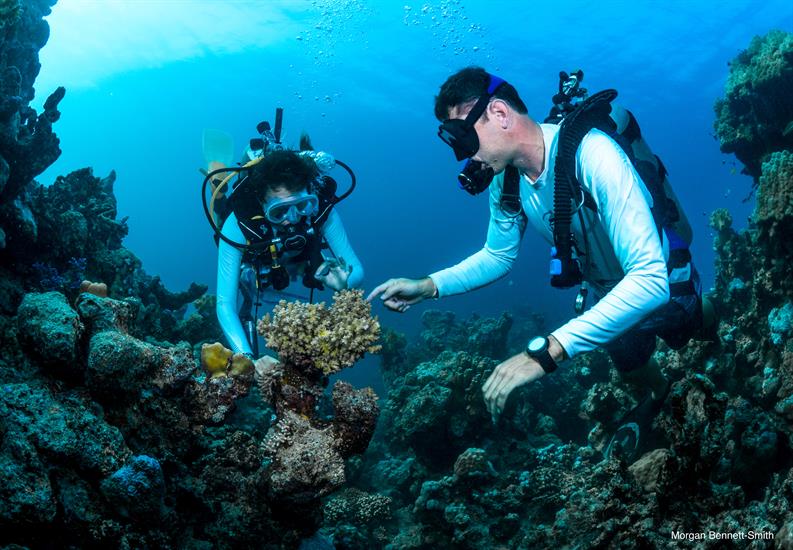 Mike Teaching Underwater